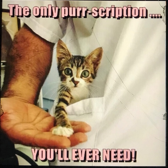 Meet your Posher, Teresa - Picture 16 of 16